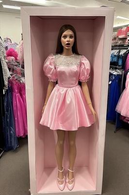 Boxed Up Fuckdolls AI