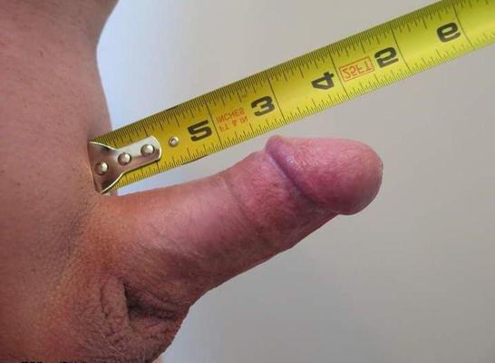 私は小さなボナーが大好きです（ほとんどインチ）