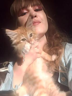 私は私の猫が大好きです！